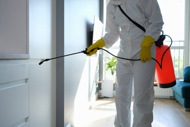 Office Mold Removal Services in Orleans, IN
